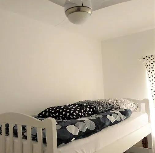 The Duke שיבניק